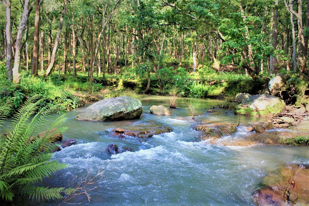 Places to visit in Netarhat