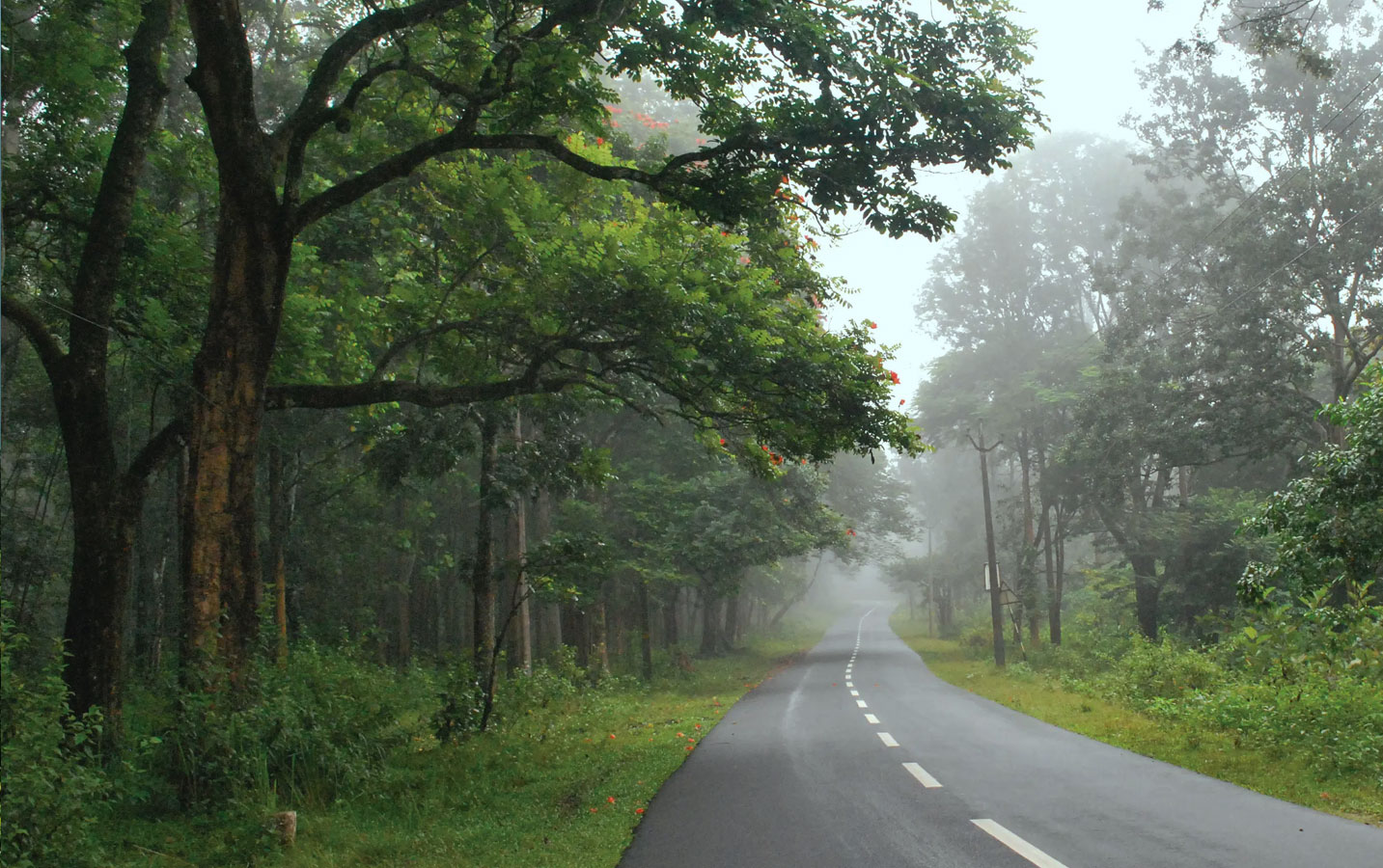 bangalore wayanad tour package