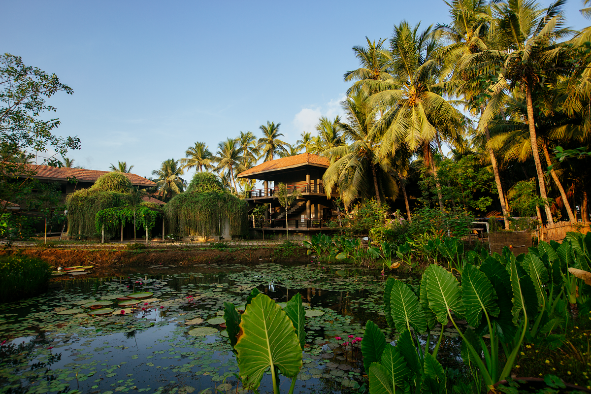 12 Dindi Resorts