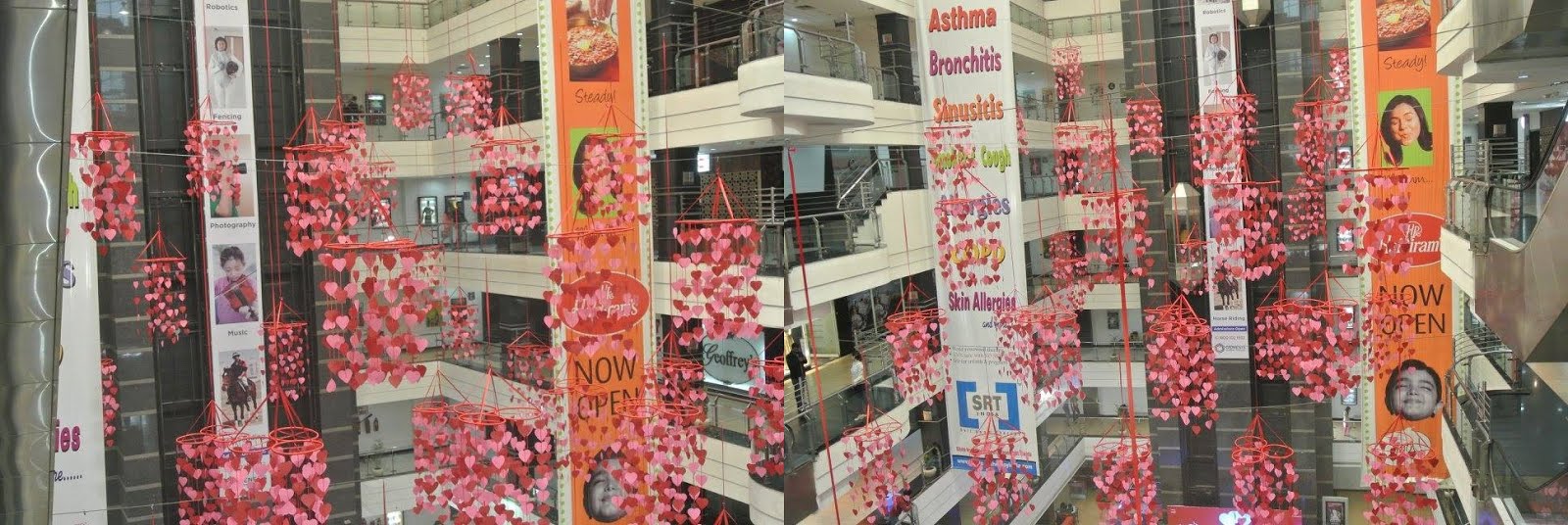 Valentine's Day 2024 Celebration in Noida