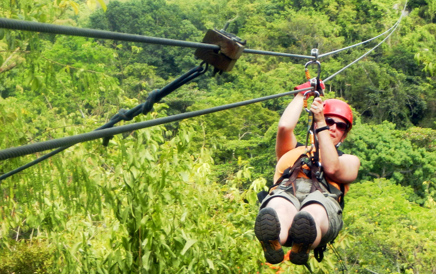 Zipline in Bangalore - Image 4