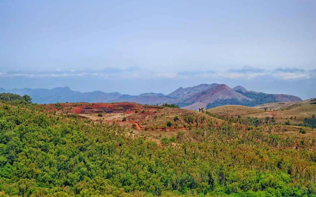 Turahalli forest trek - Image 3