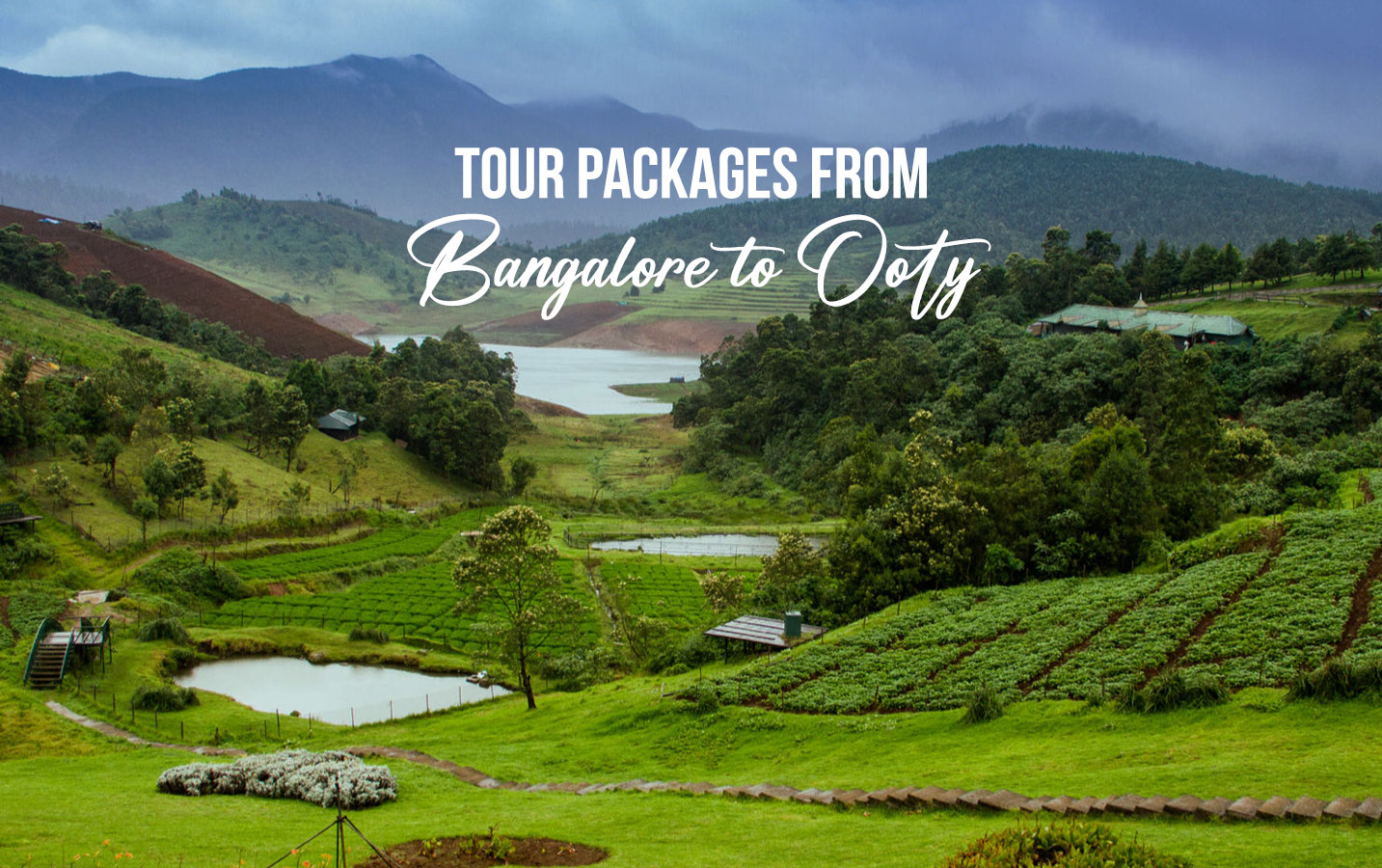 Ooty Tour Package from Bangalore - Image 4