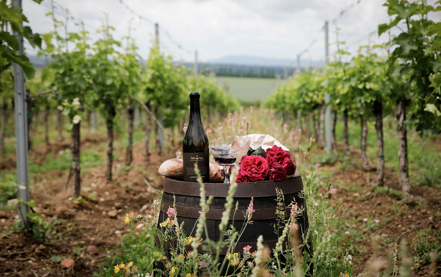 Wine Tasting in Wineries & Vineyards - Image 4
