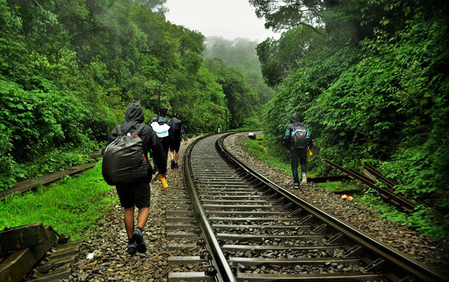 Dudhsagar Trek From Bangalore - Image 3