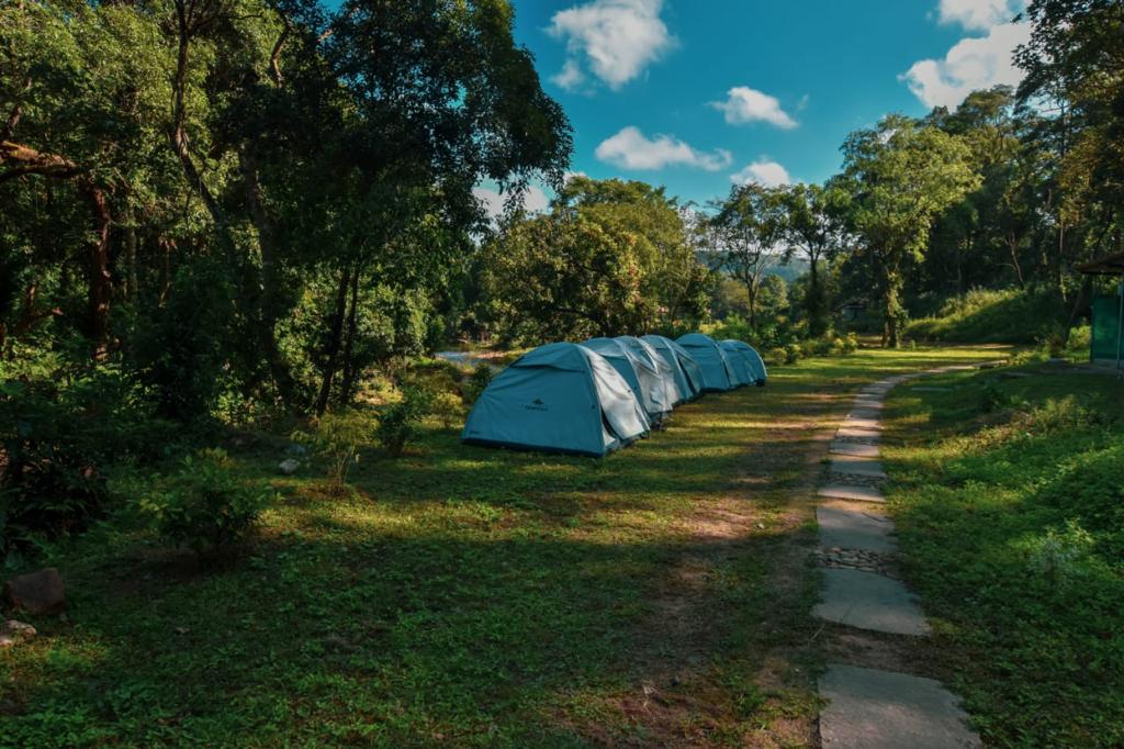 Sakleshpur Camping - Image 3