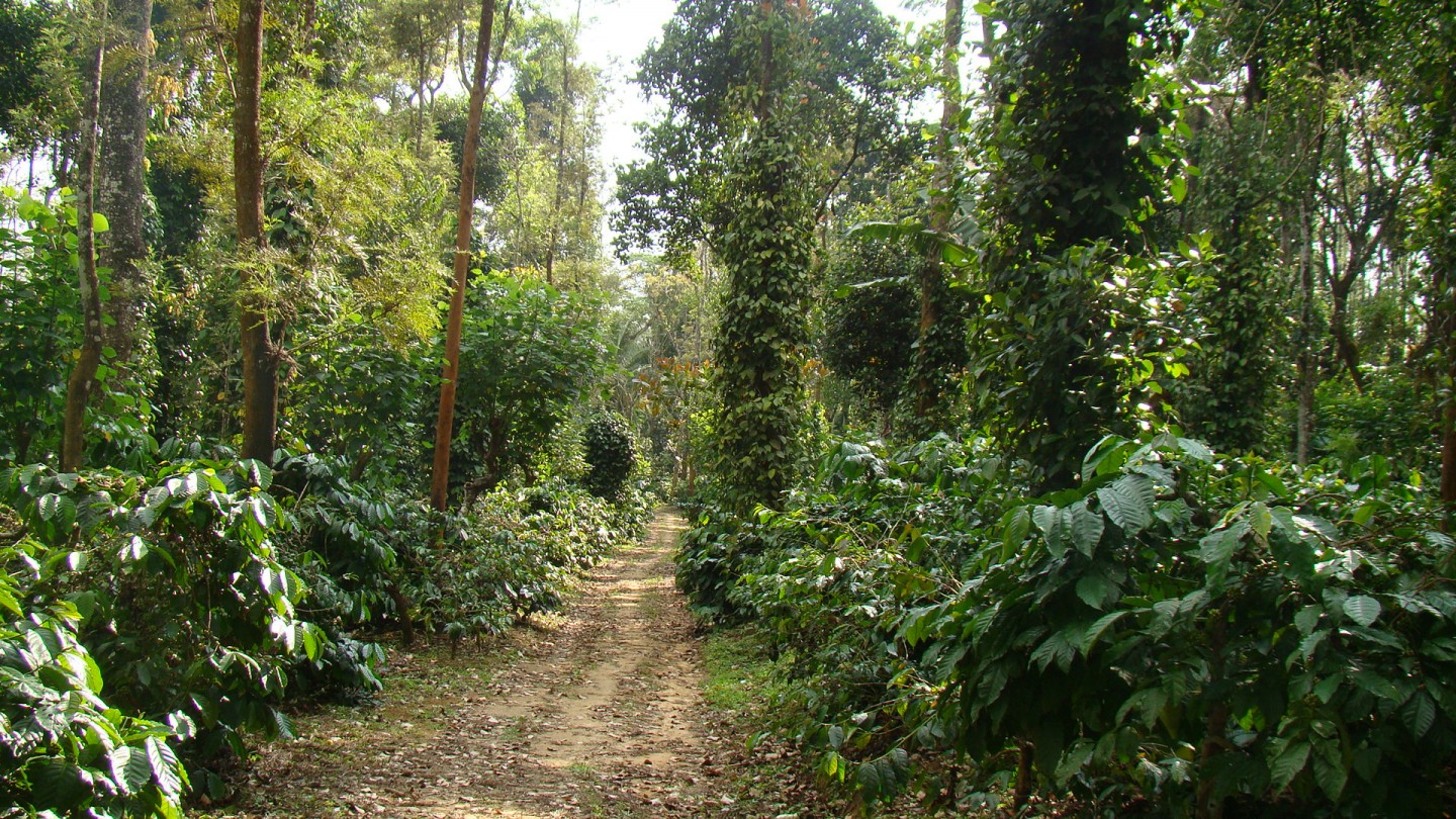Wine Tour In Bangalore - Image 5
