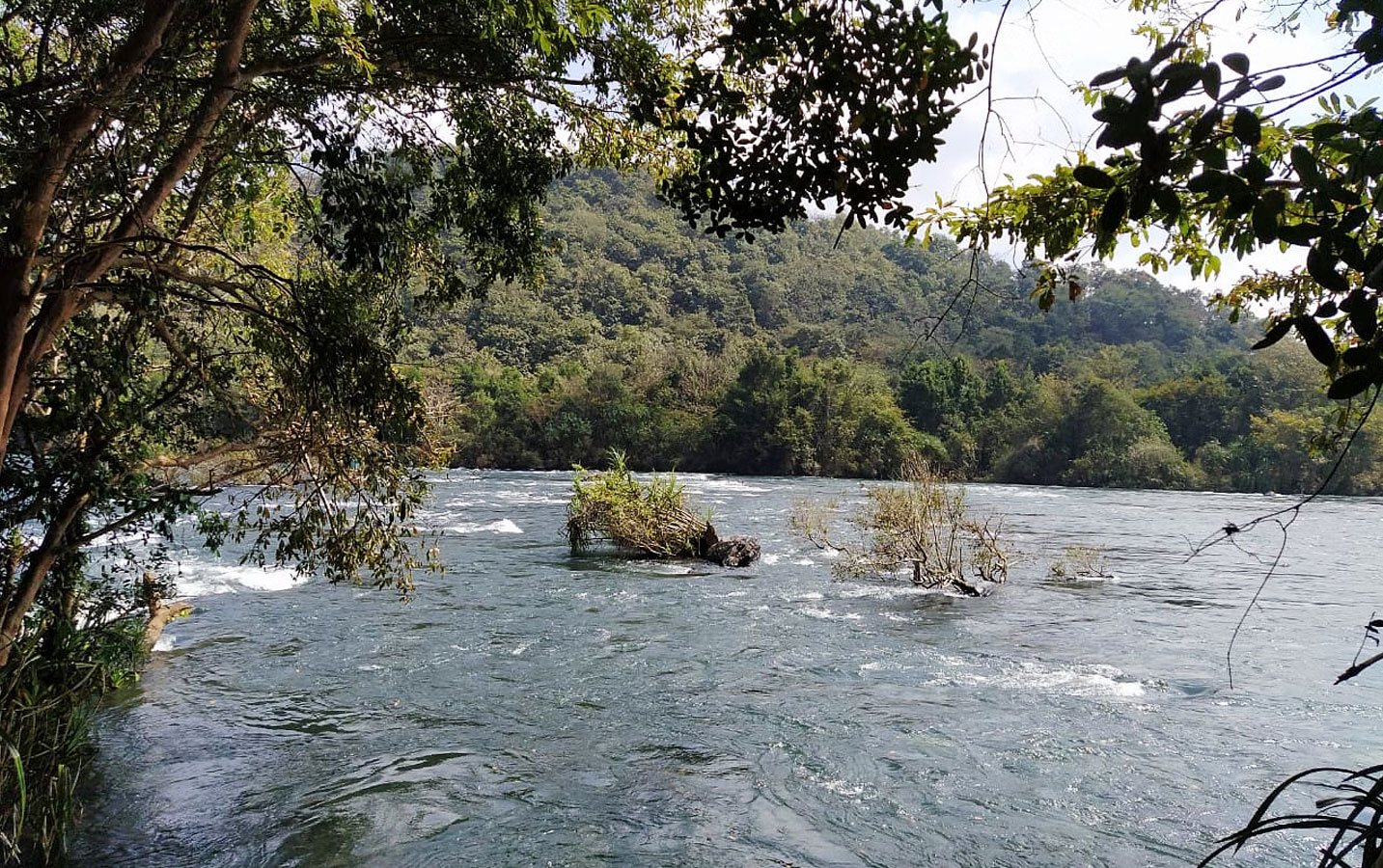 Dandeli Tour Package from Bangalore - Image 4
