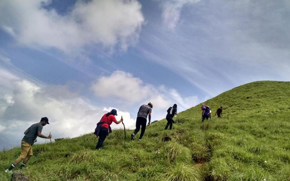 Kumara Parvatha Trek, Coorg - Image 5