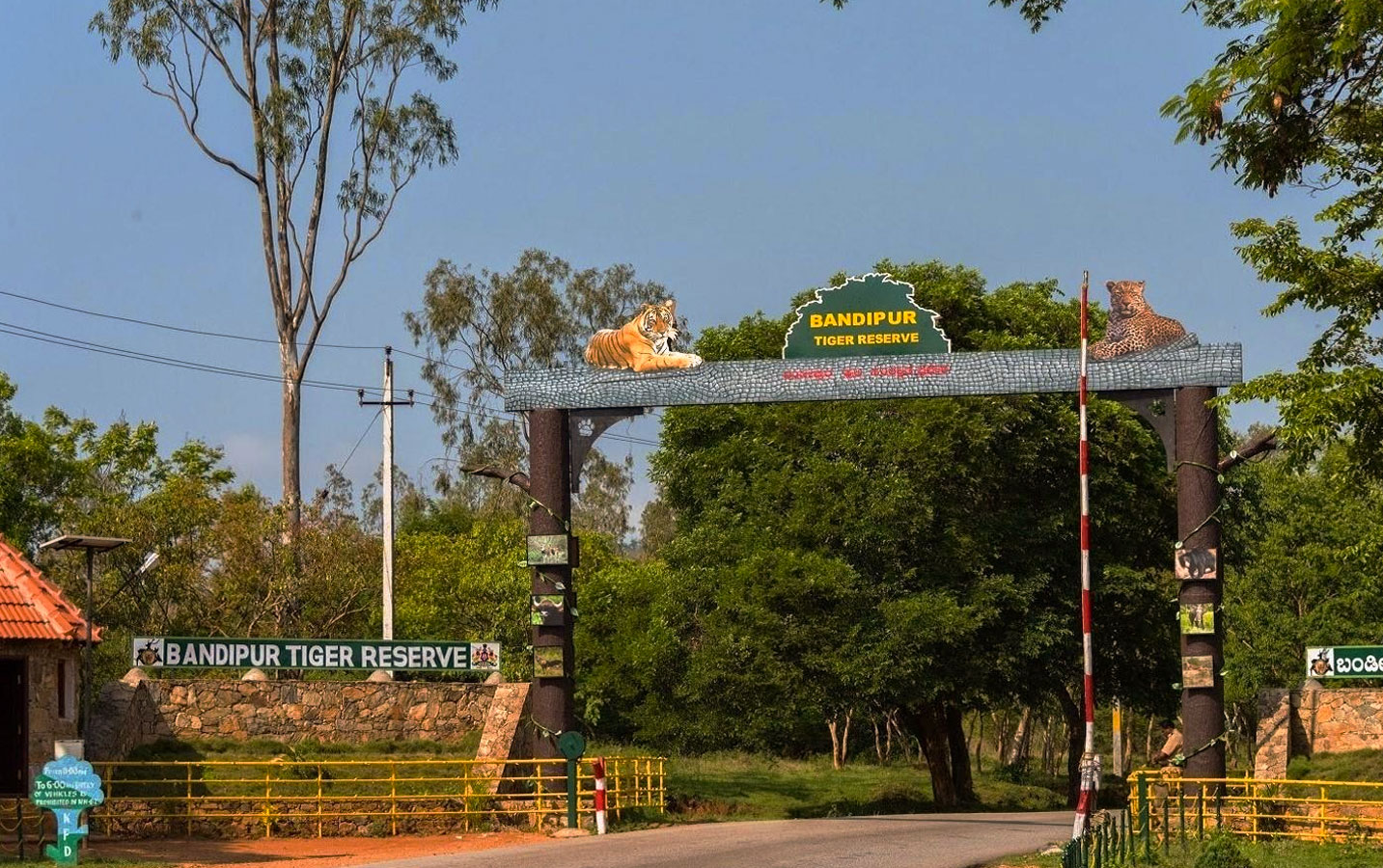 Bandipur Tiger Reserve and Bandipur National Park - Image 4