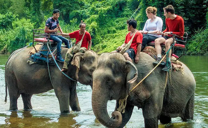 Bangalore to Coorg Package for Couple - Image 5