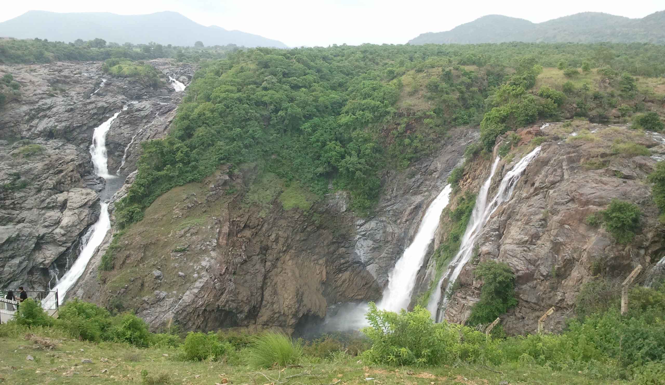 Br Hills Tour Package From Bangalore - Image 2