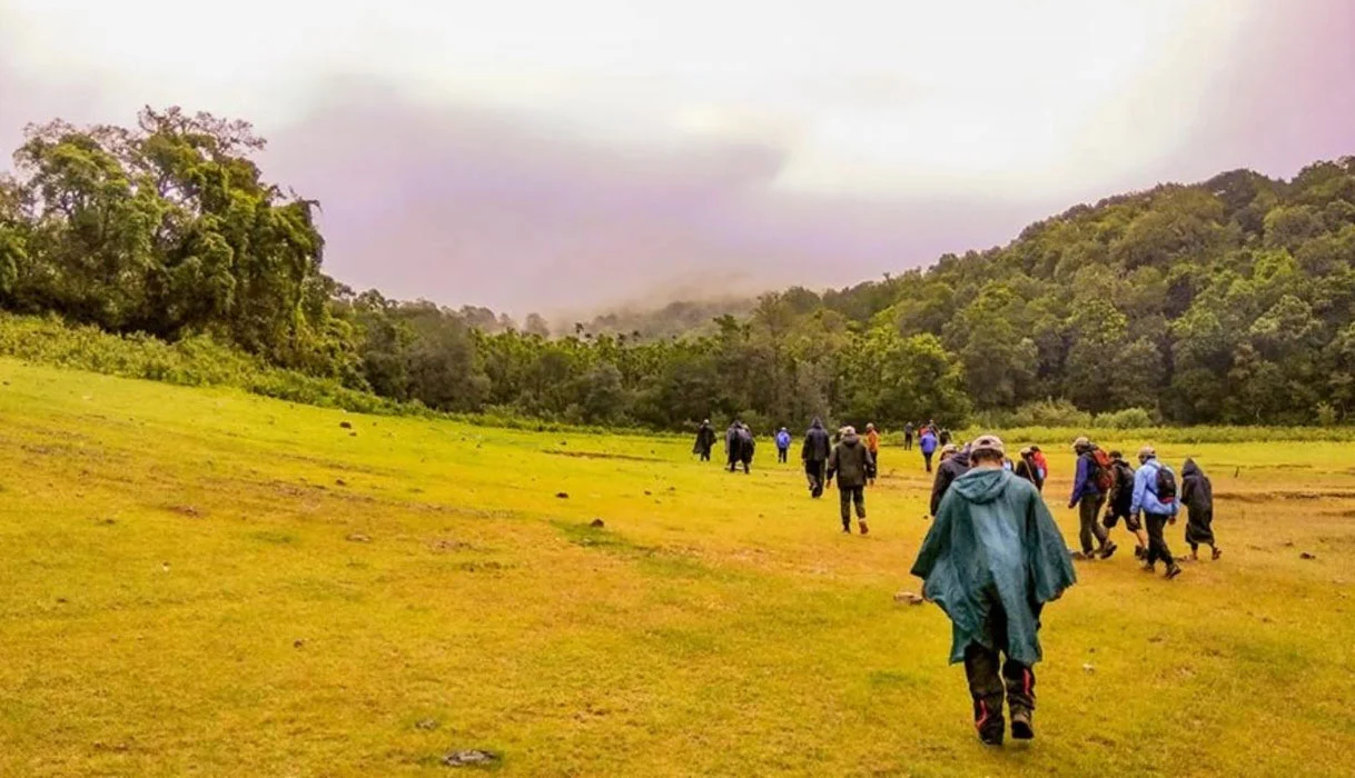 Sharavathi valley trek - Image 4
