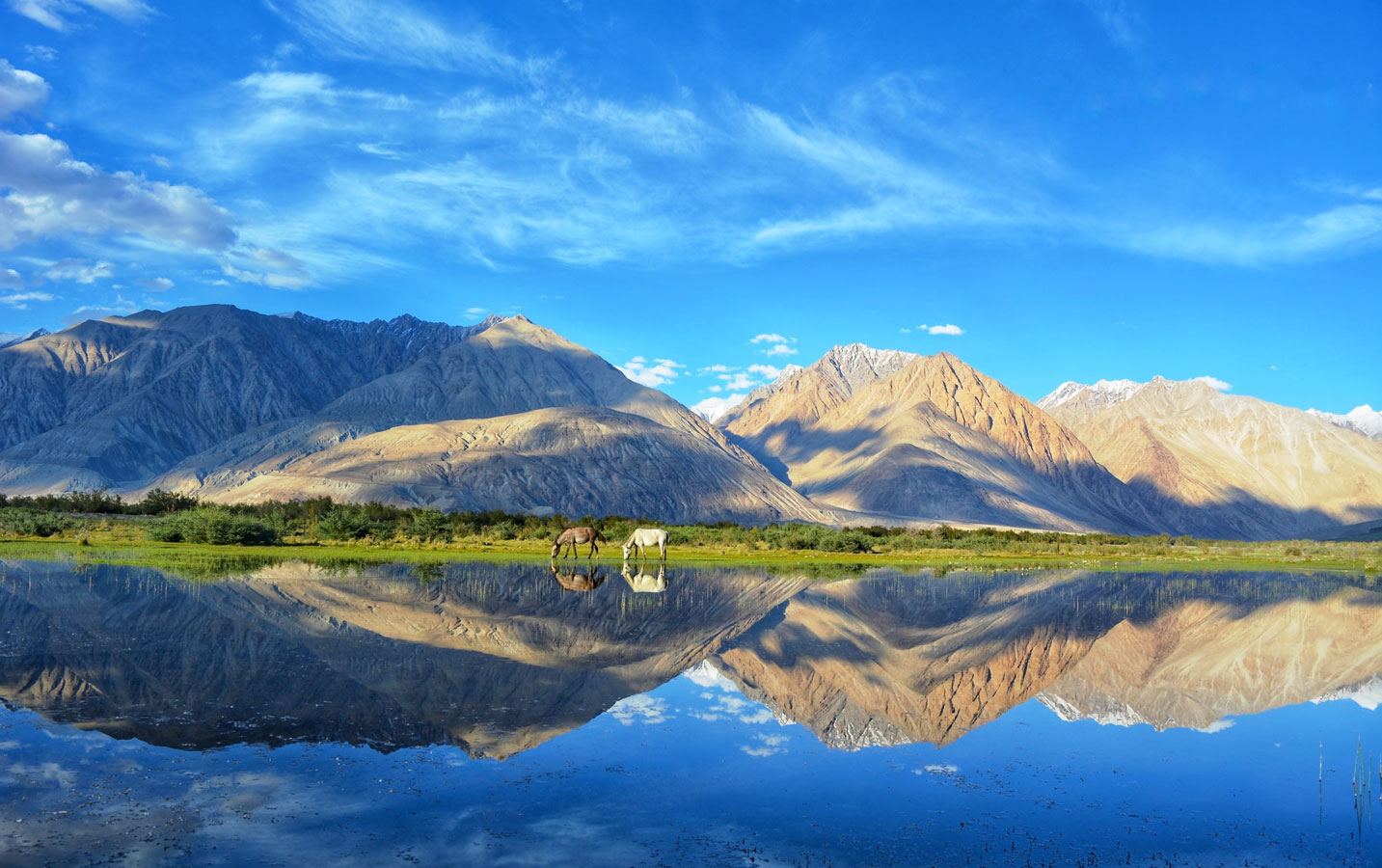 Leh Ladakh Package From Bangalore - Image 5