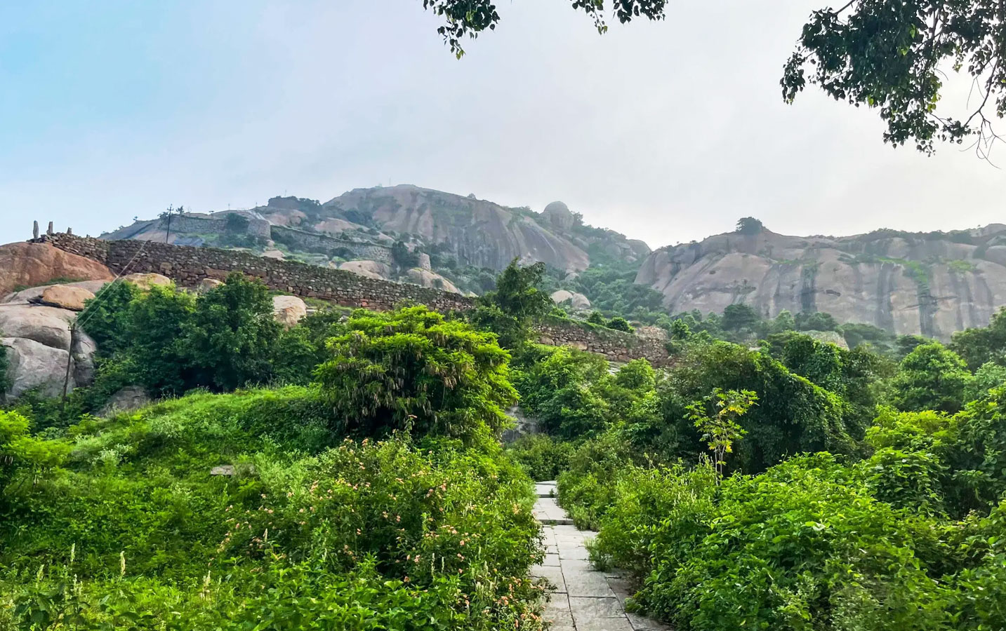 Uttari Betta Trek from Bangalore - Image 4
