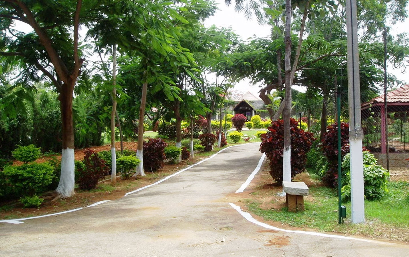 Day Out at Green Valley Resort Bangalore - Image 5