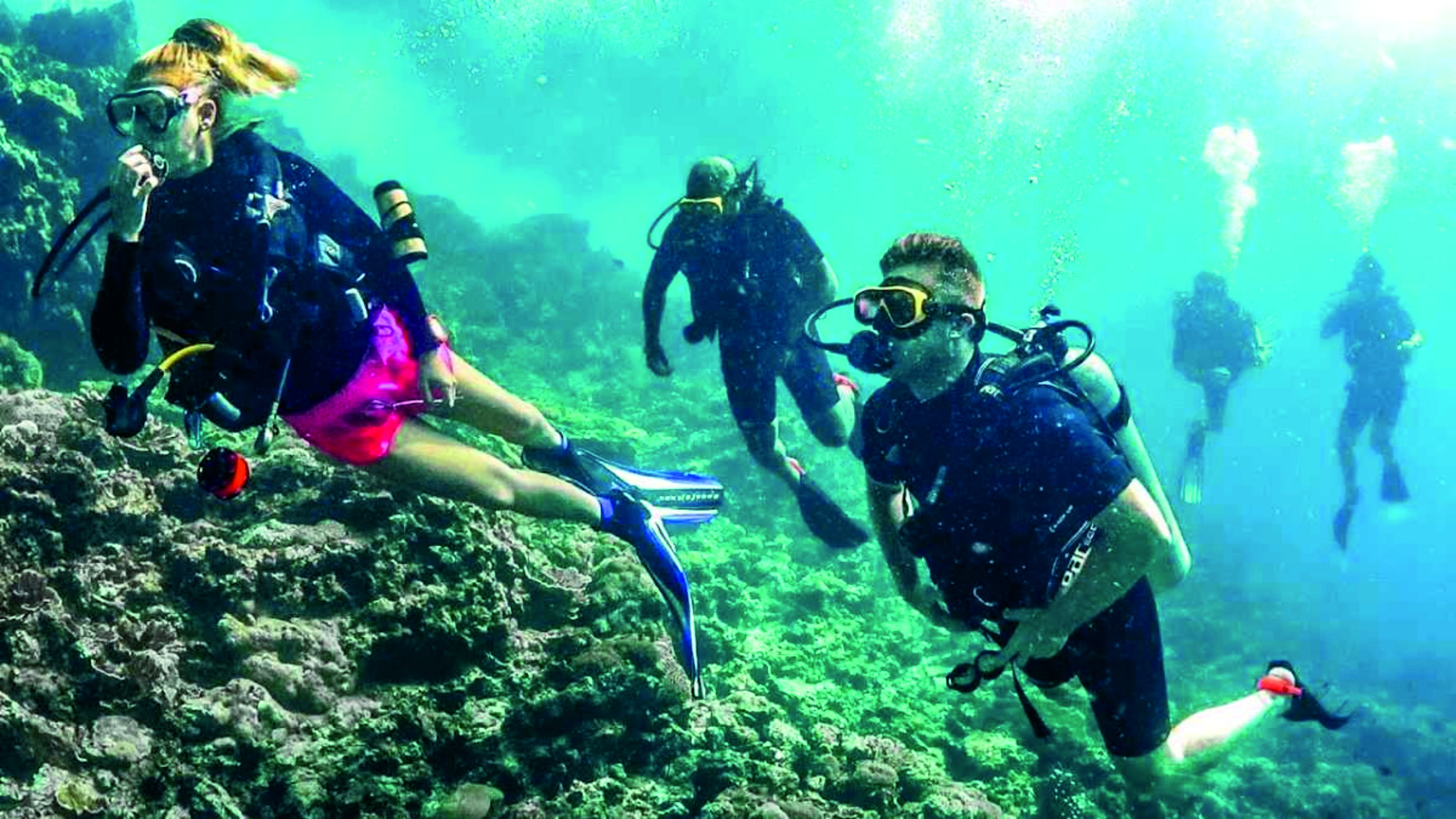 Scuba Diving in Udupi (Kapu) - Image 2