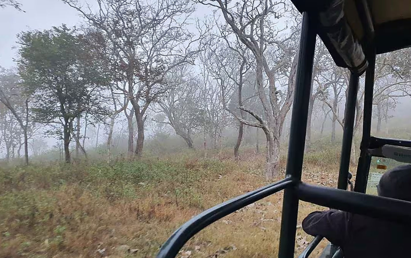 Bandipur National Park Safari Package - Image 2