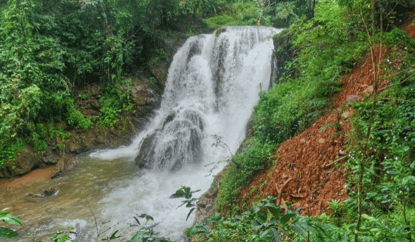 Bandaje Falls Trek - New Year Special - Image 2