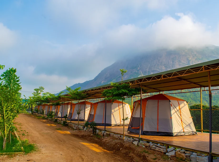 Luxury Camping at Nandi Hills - Image 2