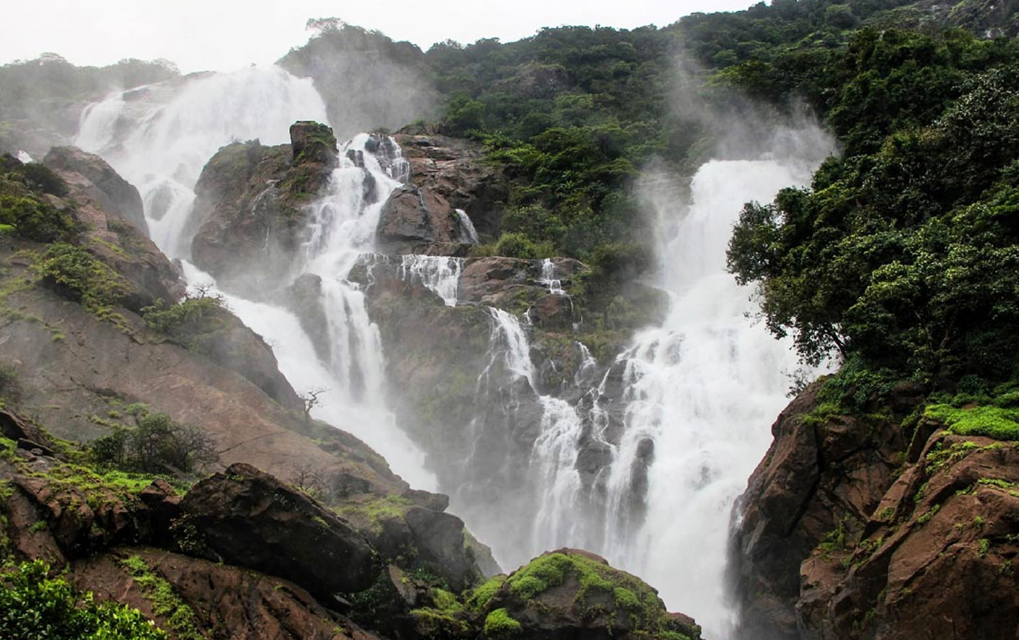 Dudhsagar Trek From Bangalore - Image 2