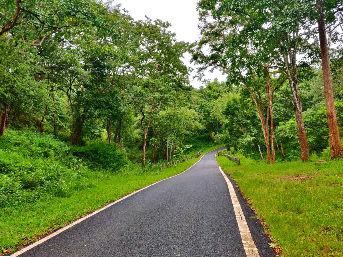 Br Hills Tour Package From Bangalore - Image 4