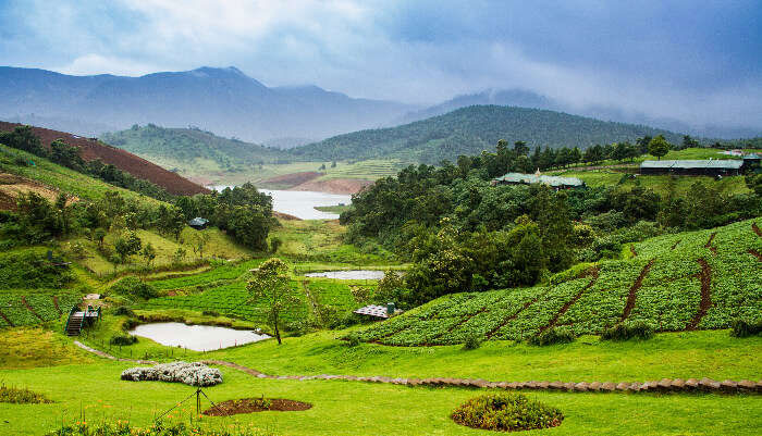 4D Munnar Tour Packages From Bangalore - Image 3