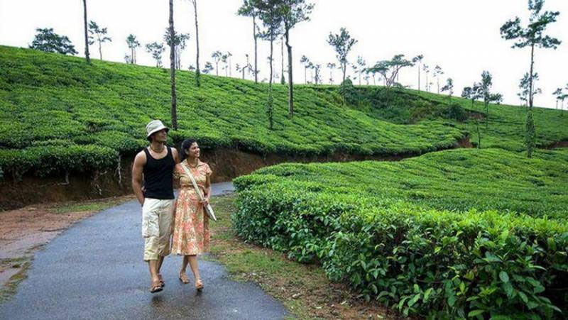 Bangalore to Coorg Package for Couple - Image 4