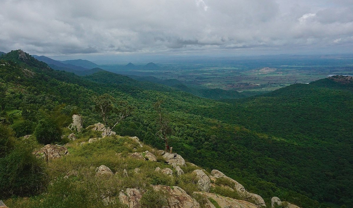 Br Hills Tour Package From Bangalore - Image 5