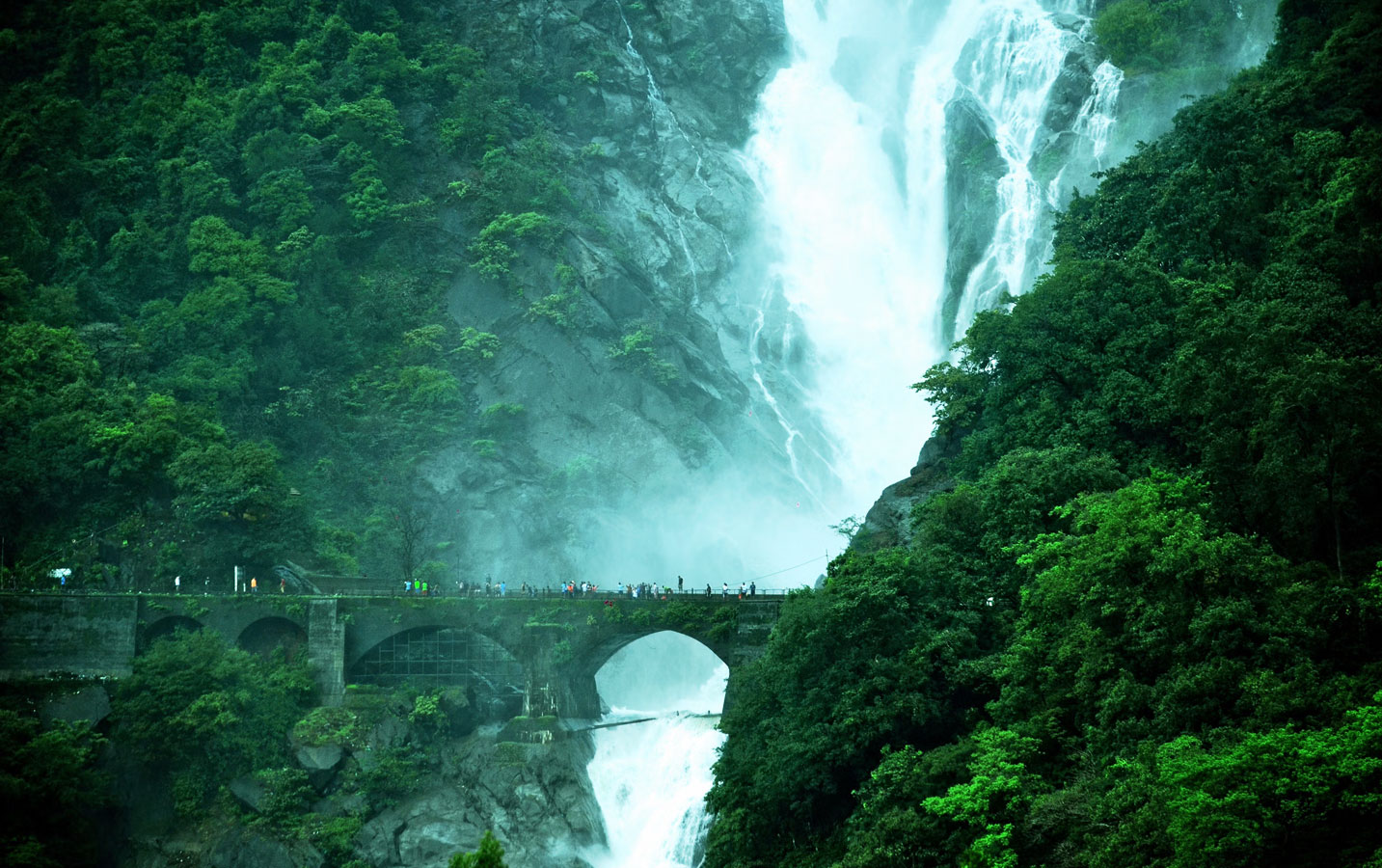 Dudhsagar Trek From Bangalore - Image 4