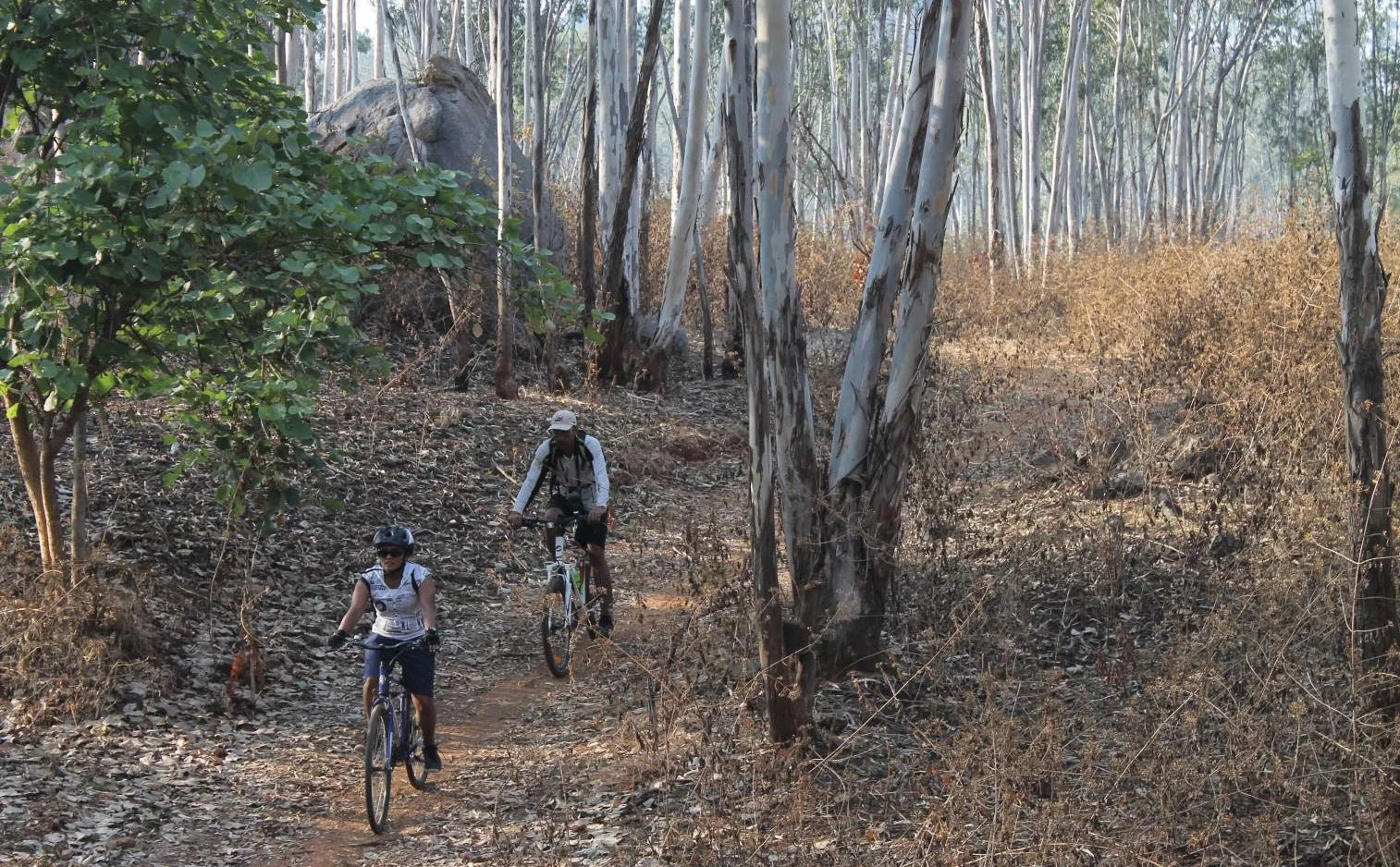 Turahalli forest trek - Image 5