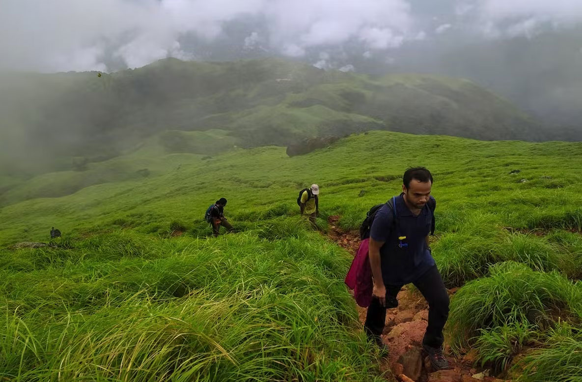 Kumara Parvatha Trek in One Day - Image 5