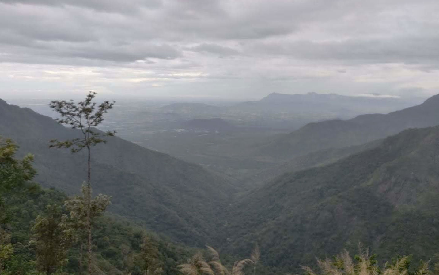 Kotagiri trek: Trekking and Camping in the Western Ghats, South India - Image 4