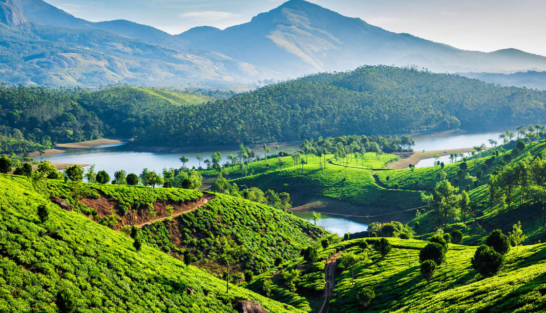 4D Munnar Tour Packages From Bangalore - Image 2