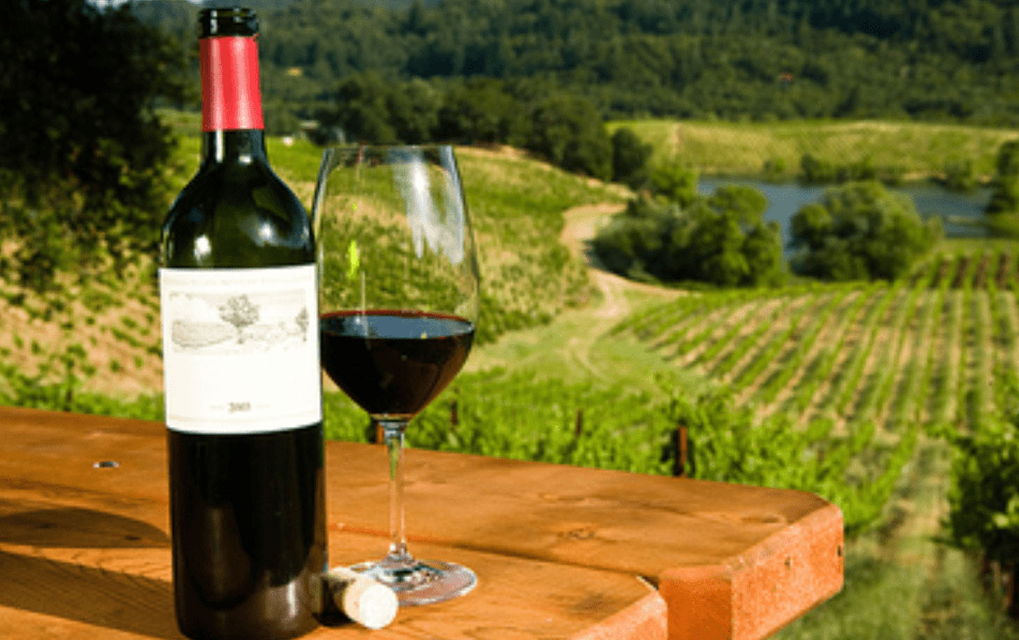 Wine Tour At Nandi Hills - Image 3