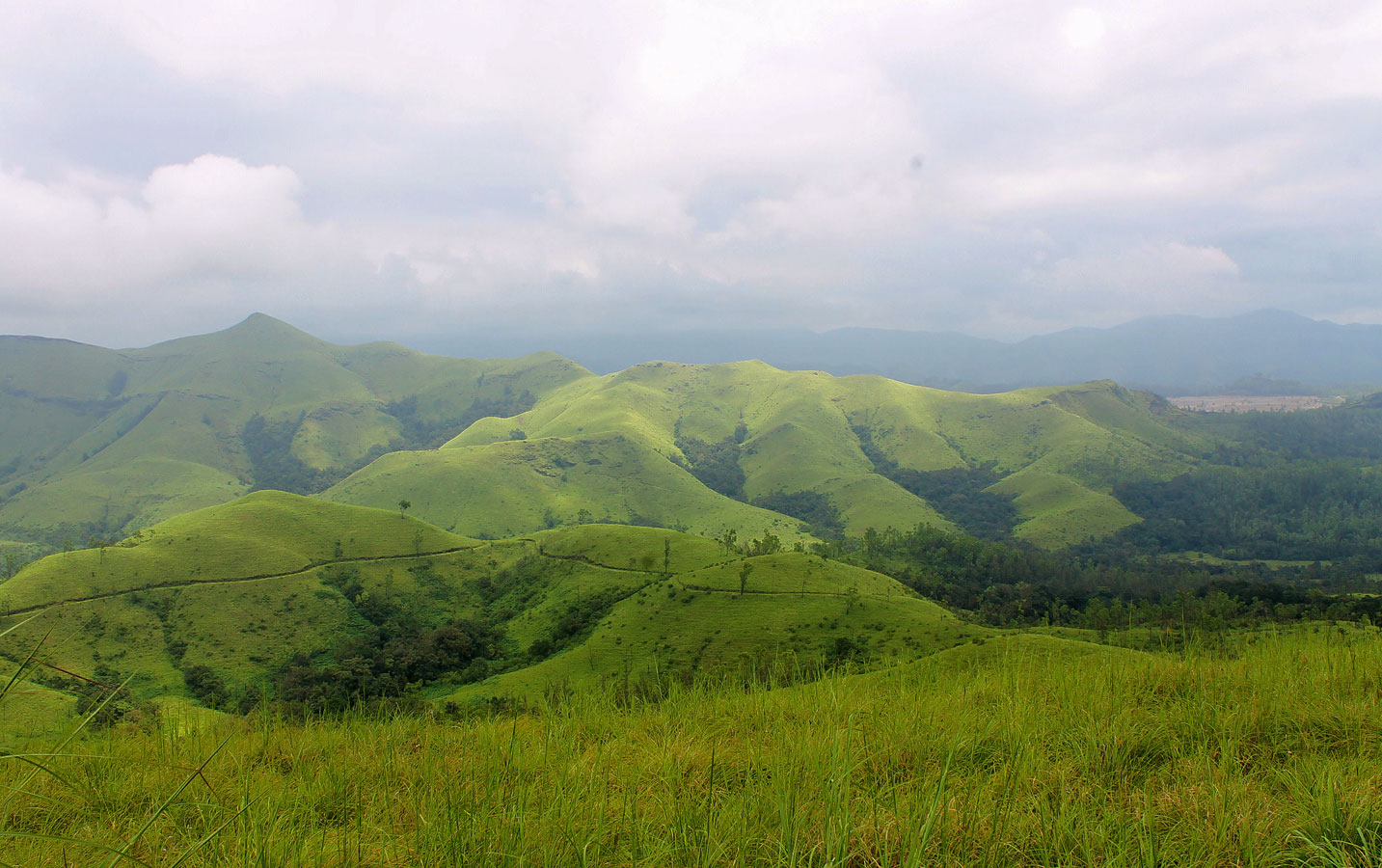 Chikmagalur Trek - Image 5