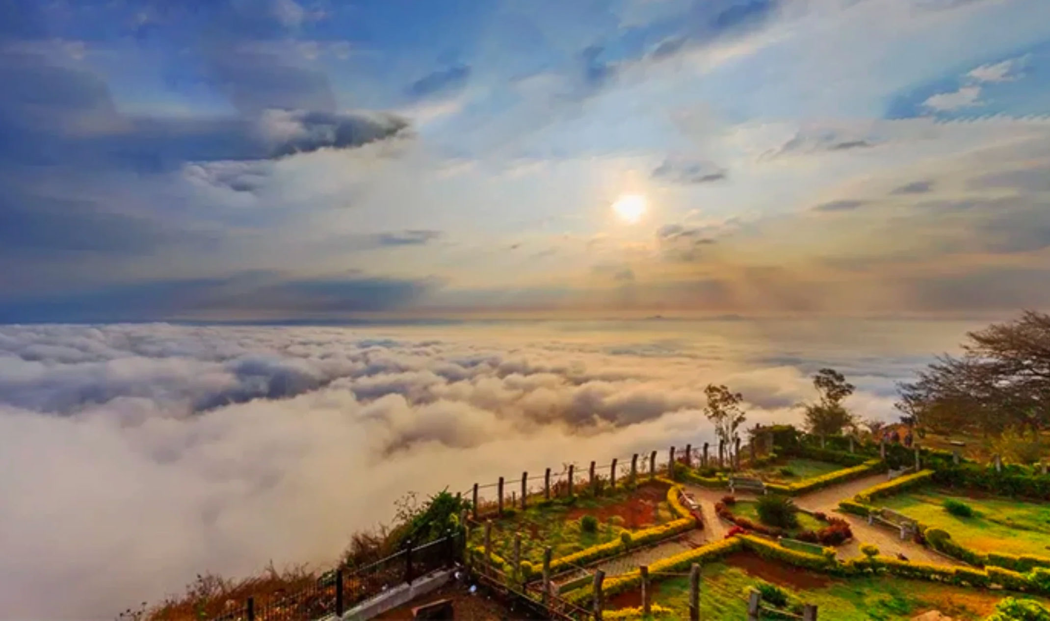 Nandi Hills Trekking New Year Special - Image 5