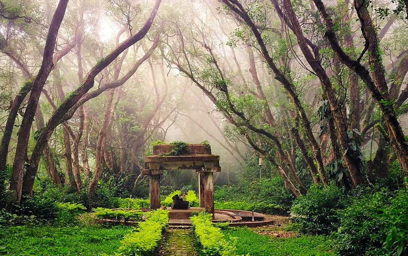 Nandi Hills Trek - Image 3