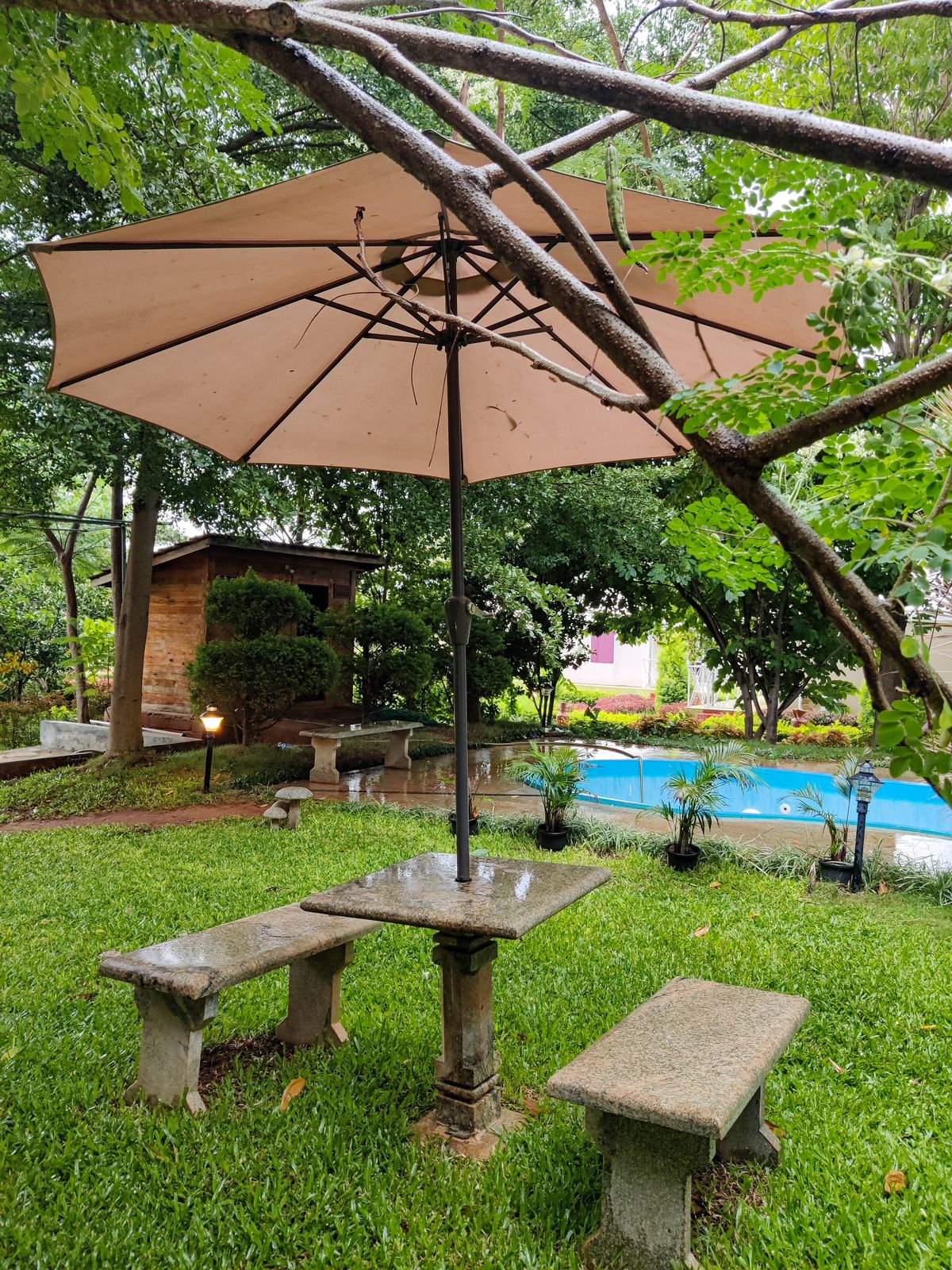 Luxury Resort Stay Near Nandi Hills - Image 3