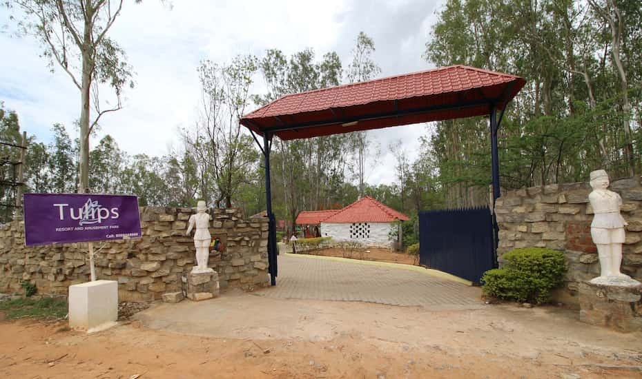 Tulip Resort - Image 3