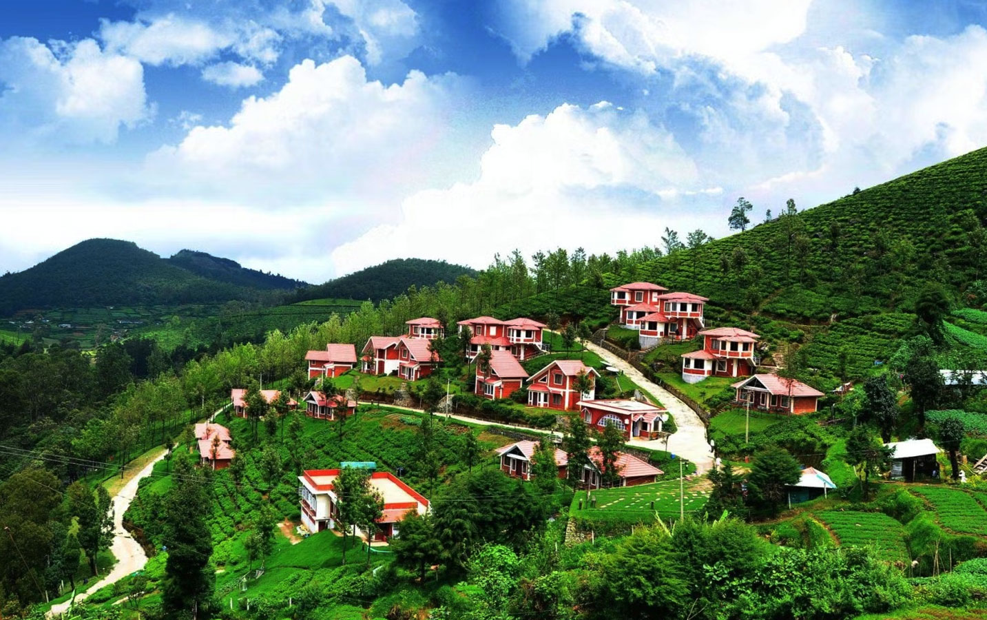 Bangalore Mysore Ooty Kodaikanal Tour Package - Image 2