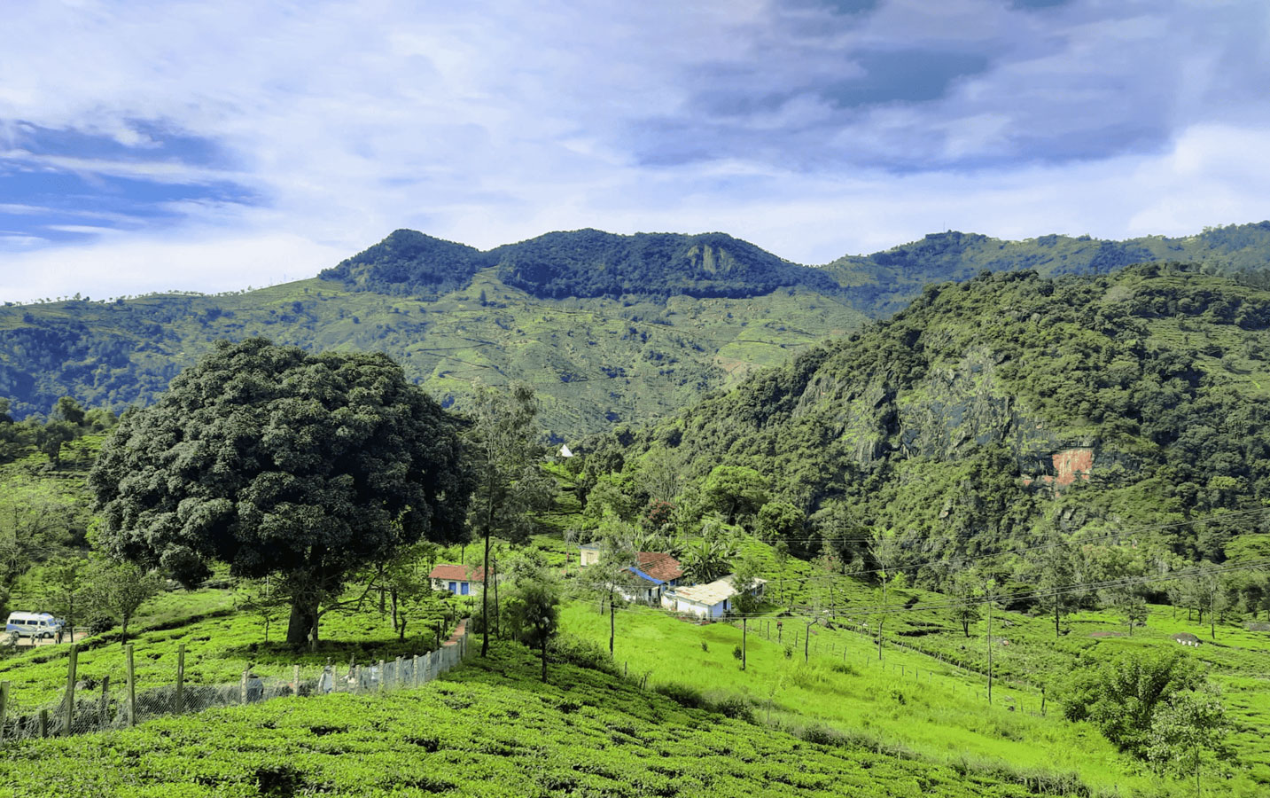 Kotagiri trek: Trekking and Camping in the Western Ghats, South India - Image 3