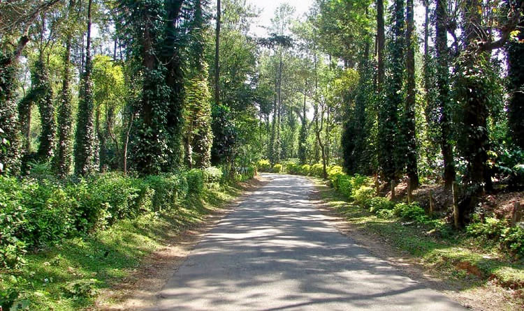Bangalore to Coorg 2 days - Image 5