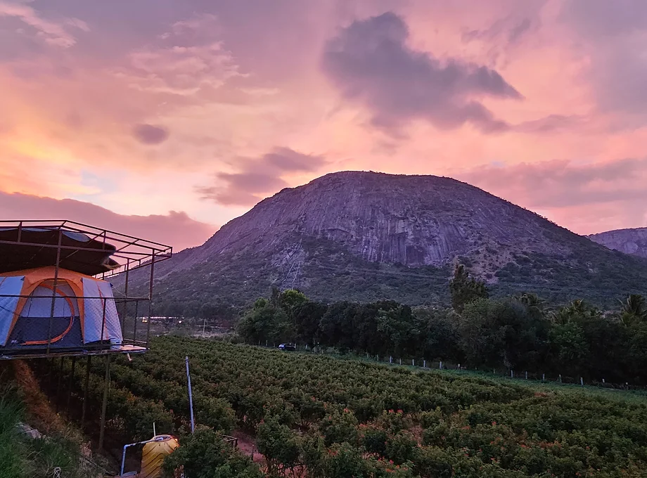 Luxury Camping at Nandi Hills - Image 4