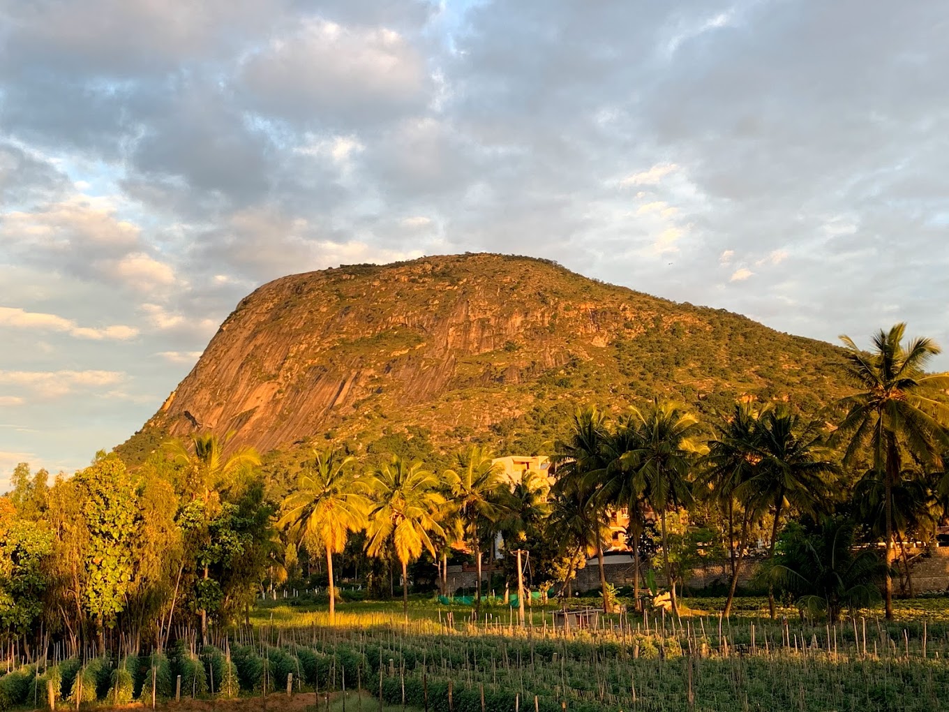 Nandi Hills Camping - Image 2