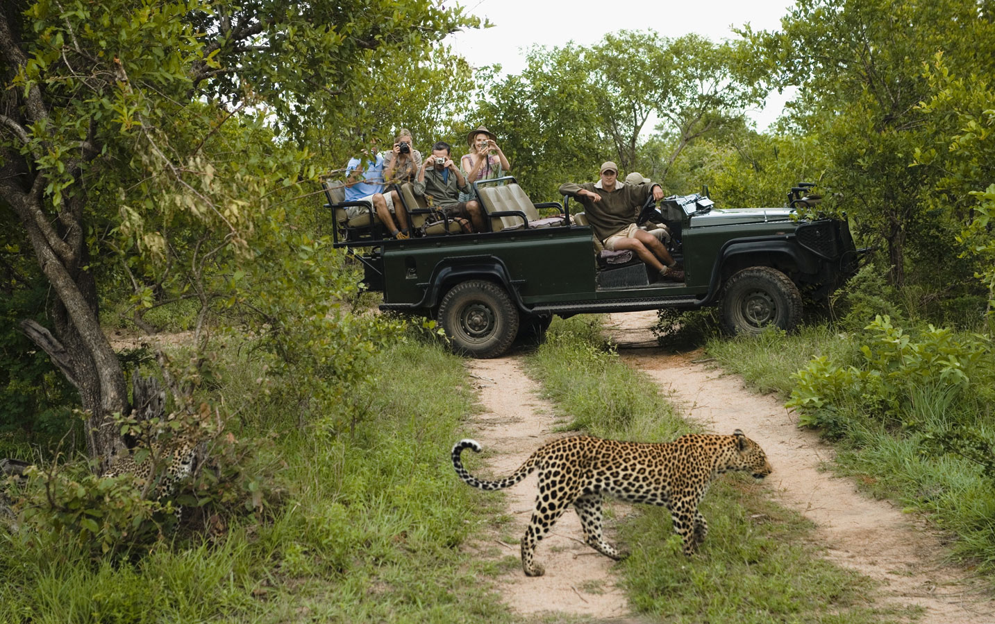 Bandipur National Park Safari Package - Image 5