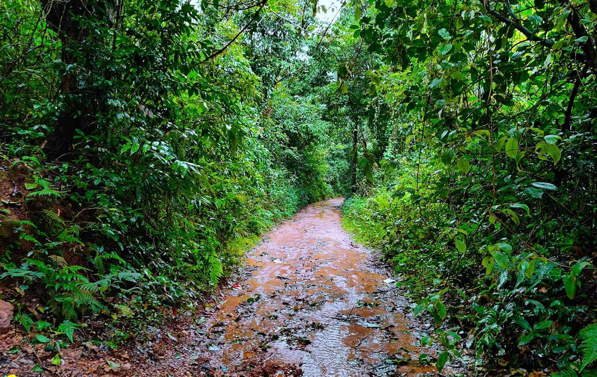 ettina bhuja trek - Image 5