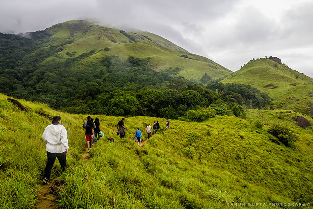 Kumara Parvatha Trek in One Day - Image 2