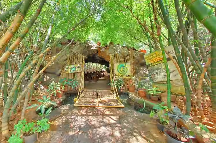 Guhantara Night Stay Package - Image 4