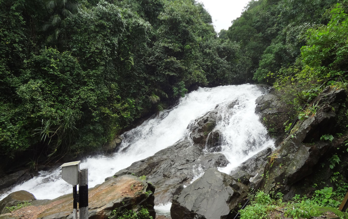 Dudhsagar Trek From Bangalore - Image 5